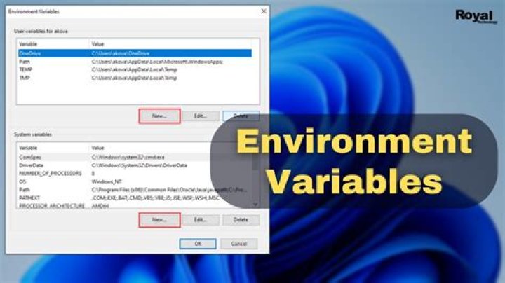 How can I see environment variables?